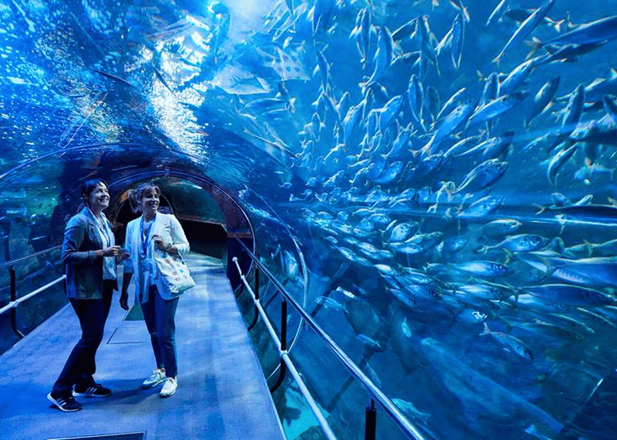 Two women in a glass tunnel at an aquarium with a large school of silvery fish swimming overhead and on the right