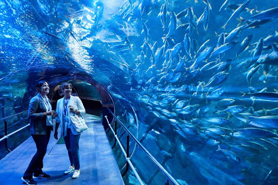 Wandeltour door San Sebastian met aquariumtickets inbegrepen