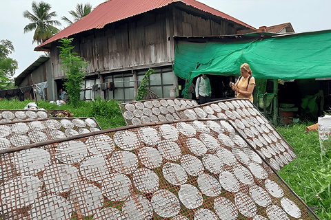 Vanuit Siem Reap: Battambang dagvullende tour met bamboetrein ...