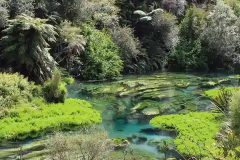 Tour particular exclusivo: Cataratas de Hunua e Blue Springs