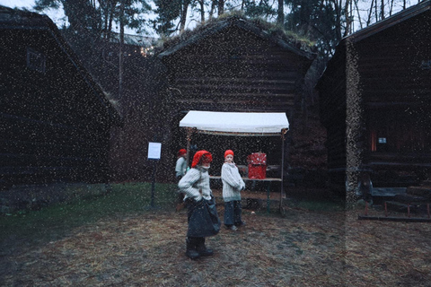 Oslo: Private Vintage Walking Tour with Photos Private Vintage Oslo Walk & Aesthetic Photos