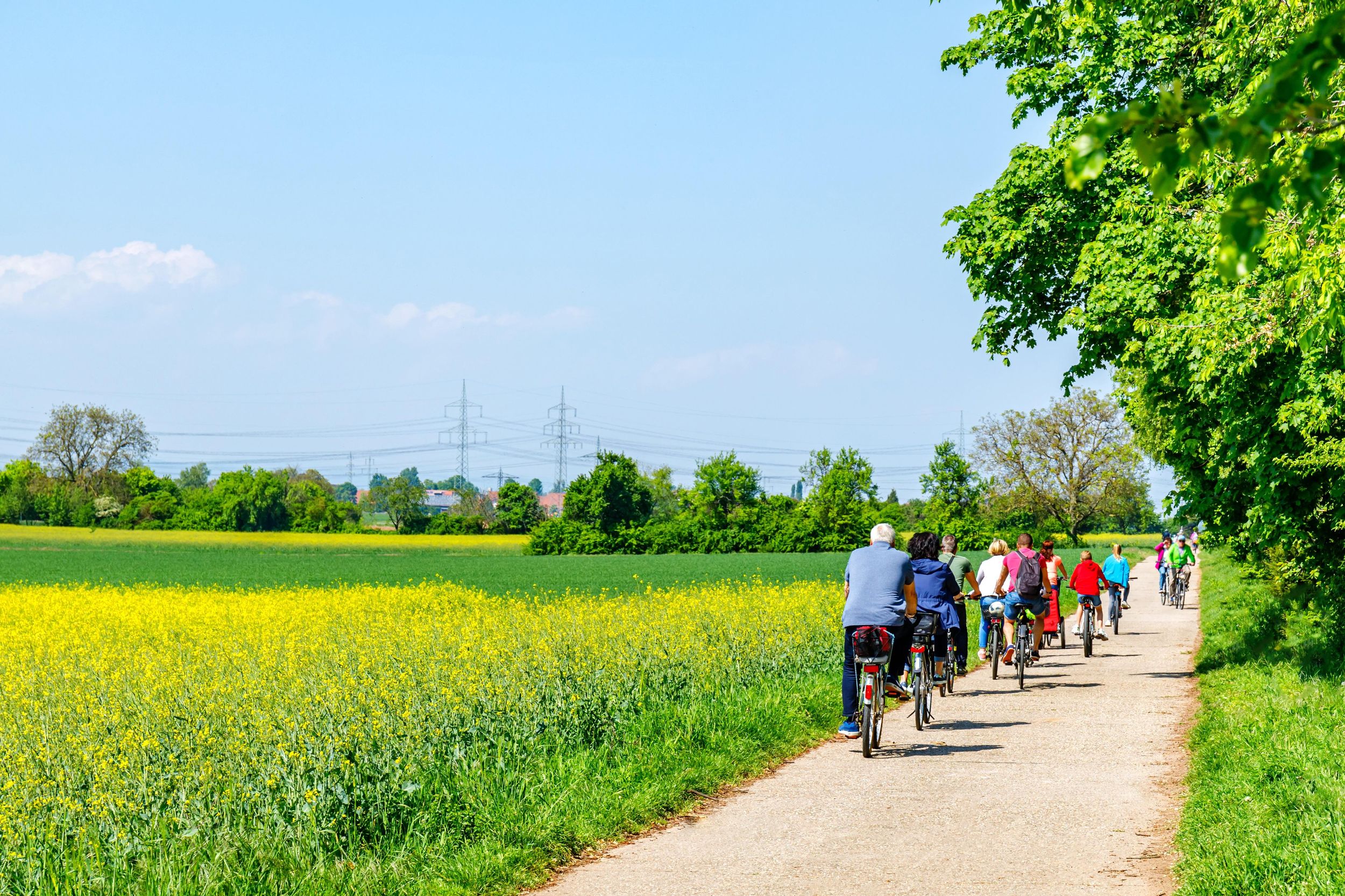 Von Amsterdam aus: Fahrradtour auf dem Land mit Käseverkostung