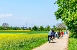 Von Amsterdam aus: Fahrradtour auf dem Land mit Käseverkostung