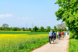 Von Amsterdam aus: Fahrradtour auf dem Land mit Käseverkostung