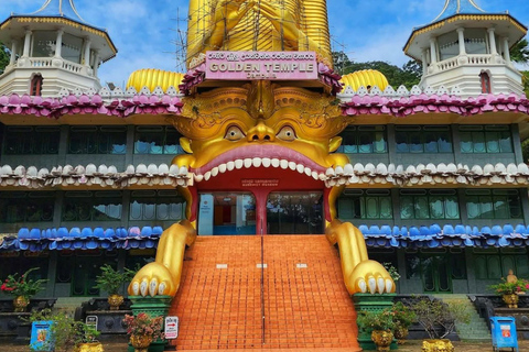 From Kandy: Sigiriya, Dambulla, & Minneriya Private Day Trip