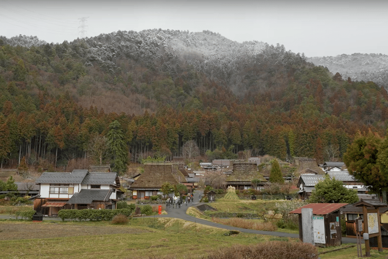 From Osaka/Kyoto: Kyoto Full-Day Sightseeing Private Tour