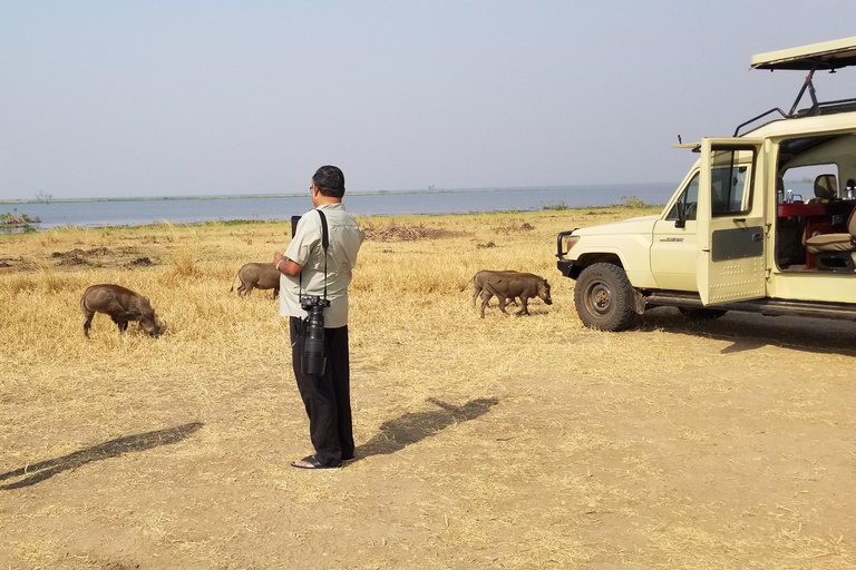 Uganda: 10-dagars safariäventyr från Entebbe