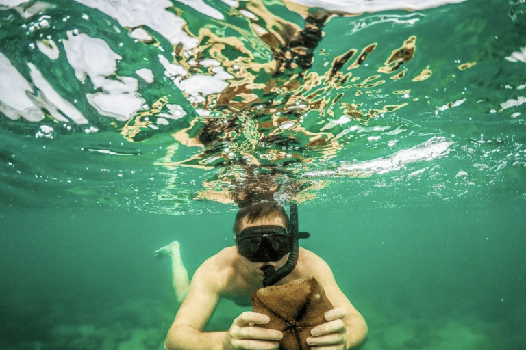 Pattaya: 3-Island Day Trip with Water Activities & Transfers