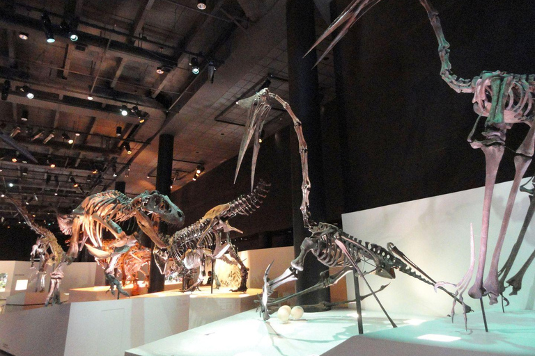 Houston: Museum of Natural Science Entry & Digital Tour