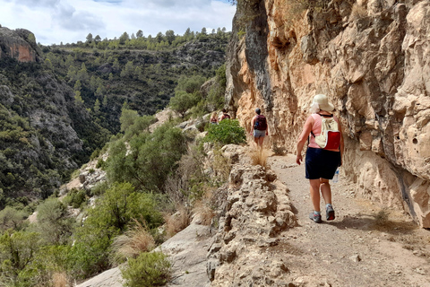 From Valencia: Peña Cortada Private Hiking Day Tour From Valencia: Peña Cortada Aqueduct Group Tour