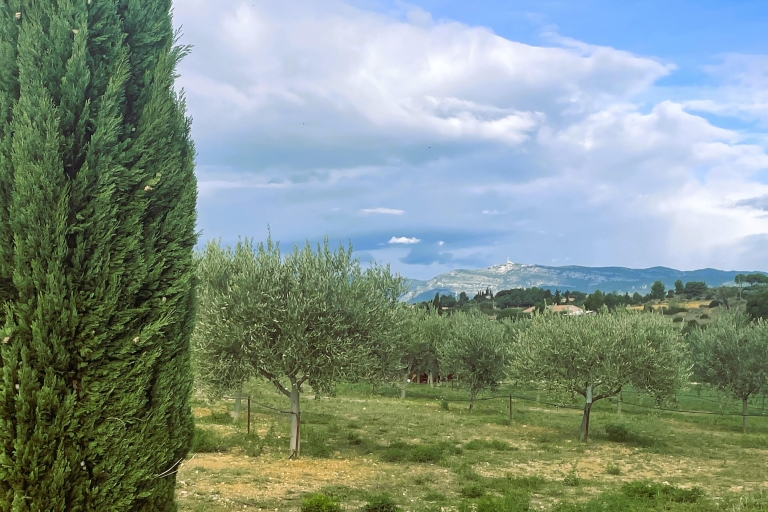 Montpellier: Odwiedź wytwórnię oliwy z oliwek