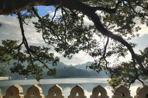 Bentota: Kandy Day Tour with Temple of the tooth & Gardens