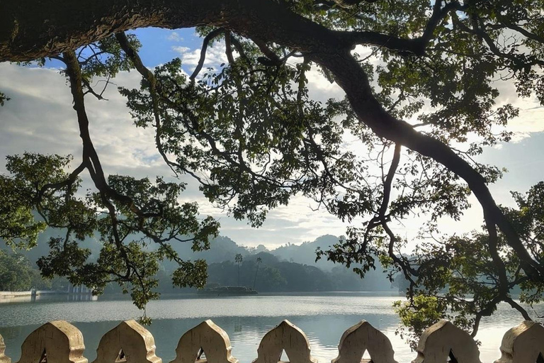 Bentota: Kandy Day Tour with Temple of the tooth & Gardens