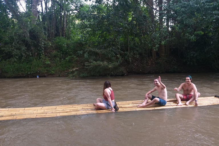 Chiang Mai: Elephant Sanctuary &amp; Jungle Trek w/ WaterfallSanctuary,Trekking,waterfall and bamboo rafting