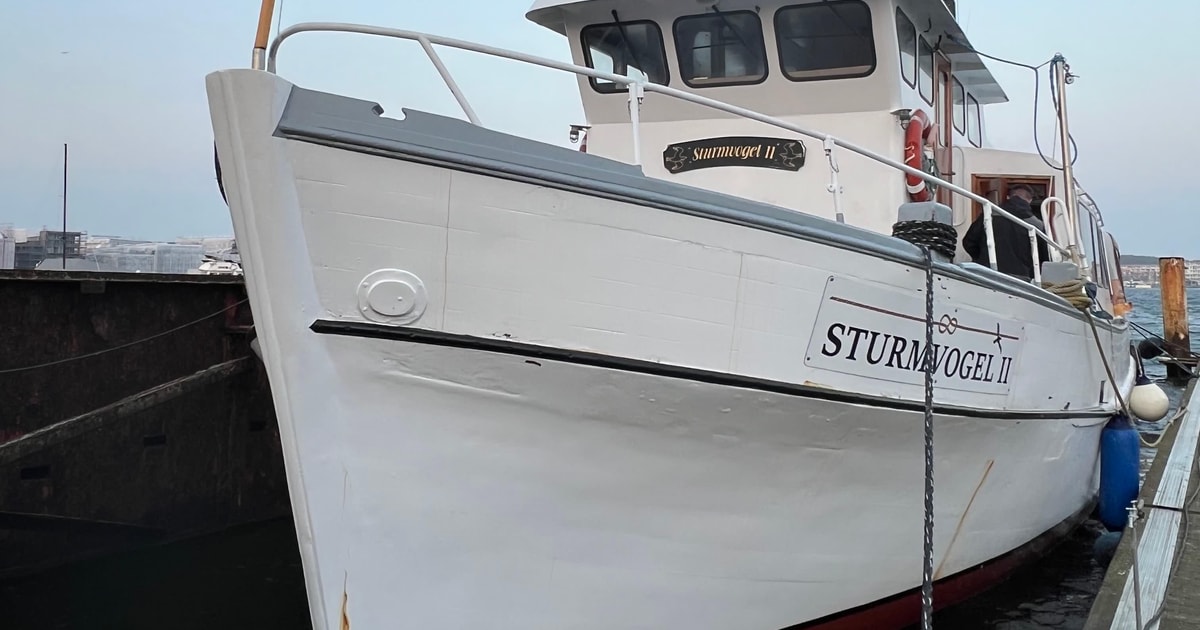 Boat trips from Neustadt in Holstein GetYourGuide