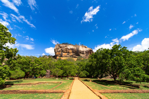 Da Colombo: Tour privato di Sigiriya, Dambulla e Minneriya