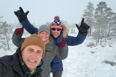 Great Ķemeri Bog & Swamp Forest Hiking Adventure Shared group tour