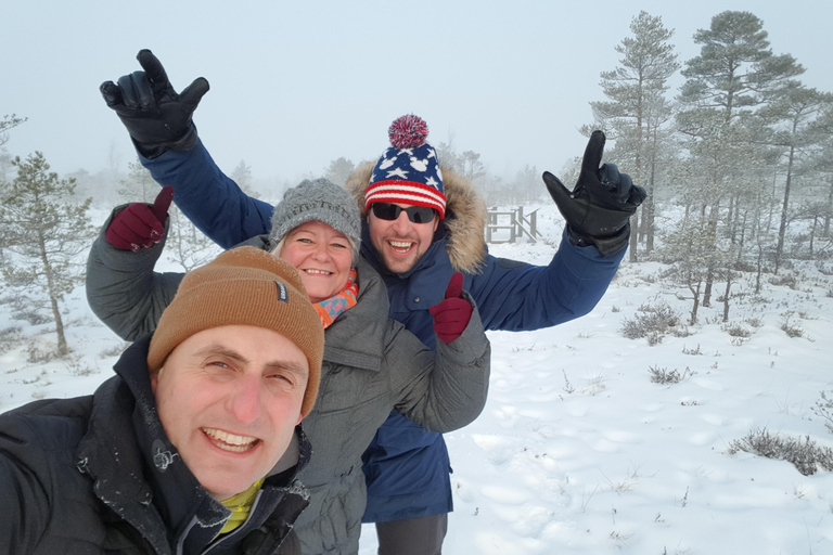 Great Ķemeri Bog & Swamp Forest Hiking Adventure Shared group tour