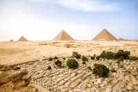 Tour privato di Cairo, Piramidi, Sakkara e Memphis con pranzo - Housity