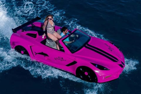 希少　♡ピンクアメジスト♡ サメ Shark 海シリーズ　カービング 金運 ZANZIBAR: Jet car thrill drive and Clear kayak with pick up