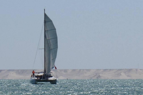 Dakhla: Catamaran Lagoon Cruise with Lunch and Drinks