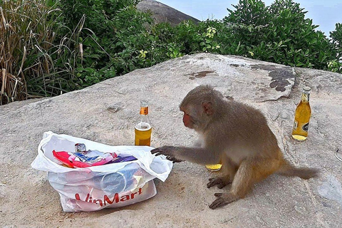 Da Nang: Marble Mountains, Monkey Mountain en Am Phu Cave...