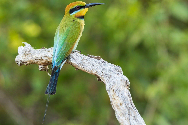 safari barato de 2 días en el PN mikumi y cascada desde Dar es salaam