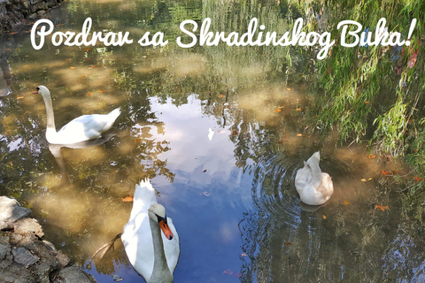 From Split: Krka Waterfalls Guided Tour & Ticket Discount