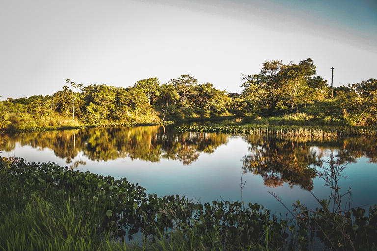 Santa Cruz: Wildlife Sanctuary and Preservation Park Tour