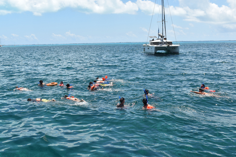 Isla Mujeres: Only Adults Catamaran, Snorkel and Beach club Tour from Playa del Carmen