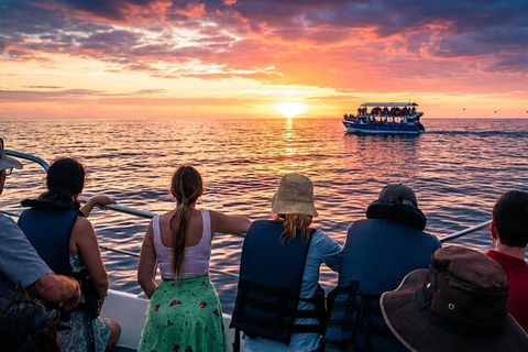 Tangalle: Mirissa Whale Watching & Dondra Lighthouse Tour