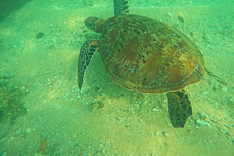 Mirissa: Night Snorkeling Adventure with Coral Reef & Fishes Mirissa: Night Snorkeling Adventure with Local Guide