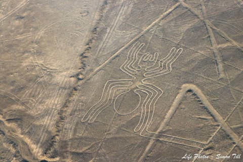 The Nazca lines & Buggy at Huacachina Oasis - Full day
