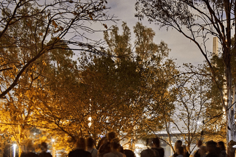 血腥布里斯班中央商务区犯罪之旅