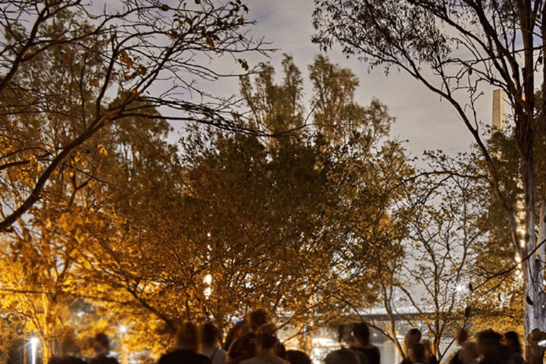 血腥布里斯班中央商务区犯罪之旅