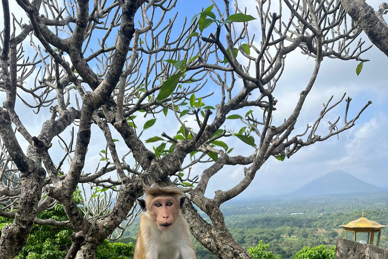 Sigiriya: Dambulla, Spice Garden & Sera Waterfall Tour
