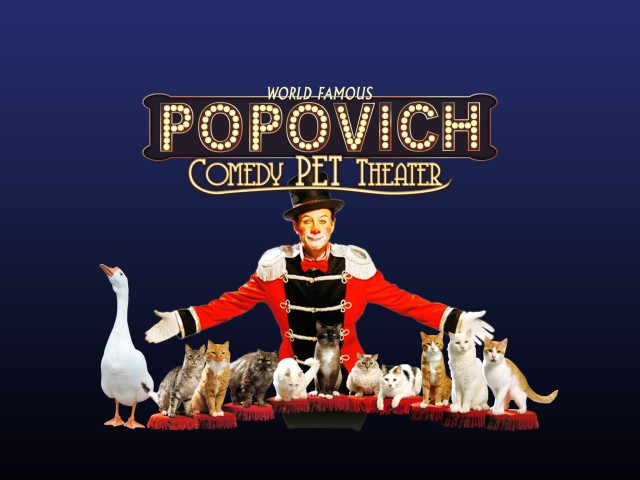Visit 75-Minute Popovich Comedy Pet Theater in Las Vegas in Ragusa, Sicily, Italy