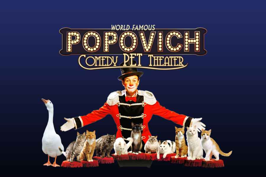 75-Minuten Popovich Comedy Haustier-Theater in Las Vegas. Foto: GetYourGuide