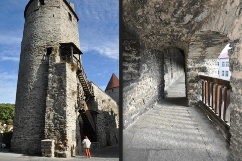Individual excursion in Tallinn