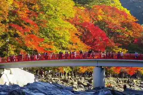 名古屋発：小原四季桜と香嵐渓の秋の旅