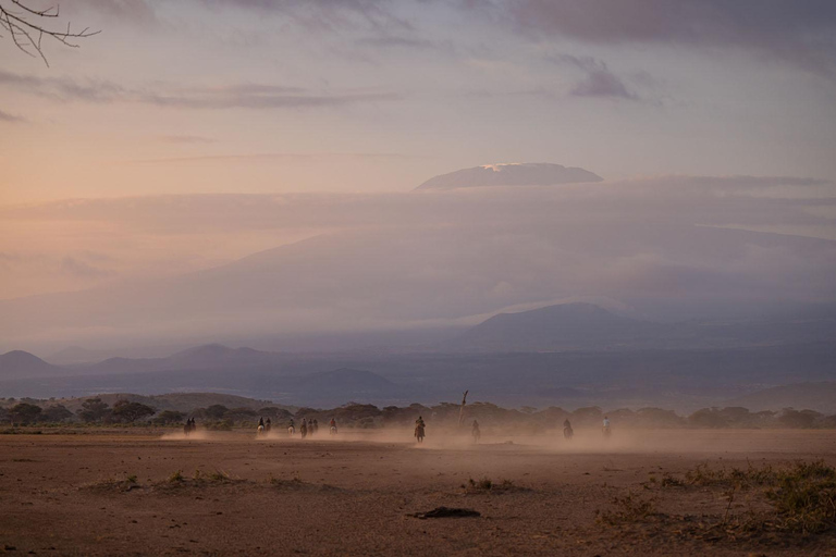 Excursão de 1 dia ao Lago Natron