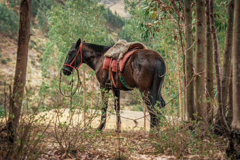 Cusco: Horseback Riding and Pachamama Ceremony Tour