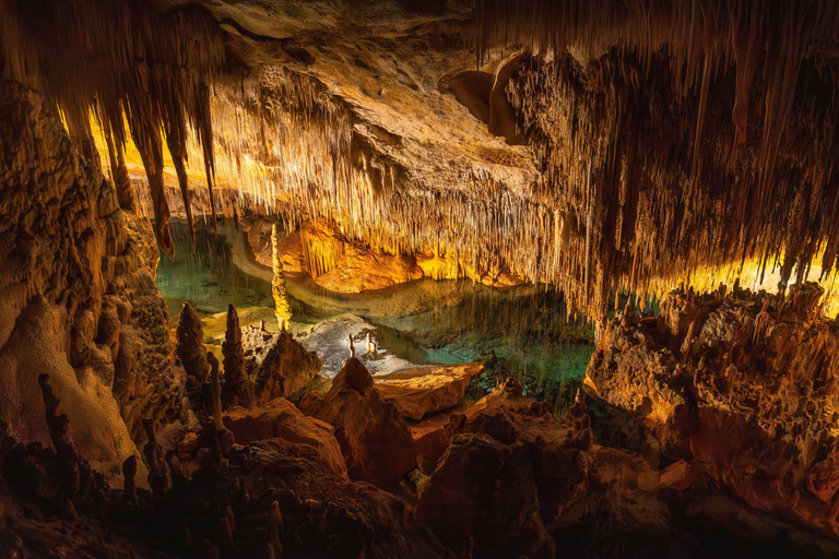 Vienna: Seegrotte Underground lake &amp; Wine Tasting Day TripPrivate