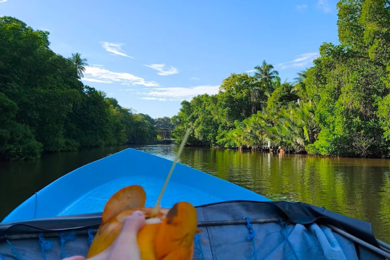Bentota: River Safari with Wildlife and Island Visits