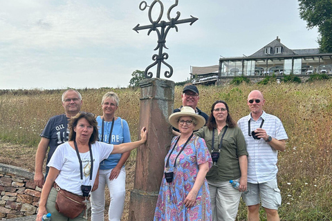 Johannisberg Rheingau: Wine tasting with cellar tour and hike