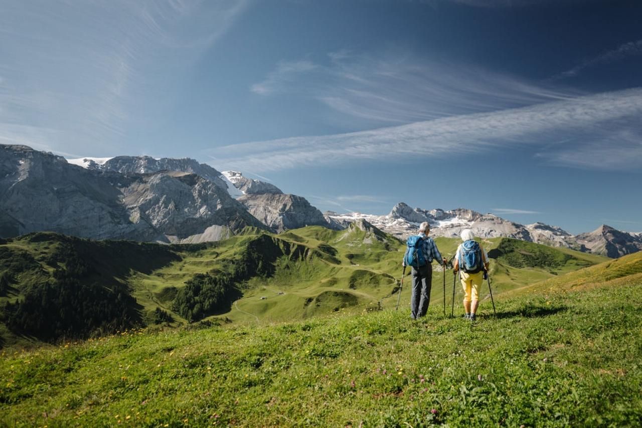 Adelboden: Einfacher Blumenweg auf dem VogellisiBerg