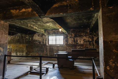 Vanuit Krakau: Auschwitz-Birkenau rondleiding met vervoer