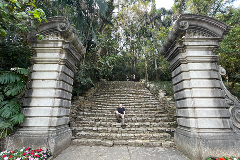 圣保罗：植物园与生物学家导览游（周末）生物学家带你游览圣保罗植物园