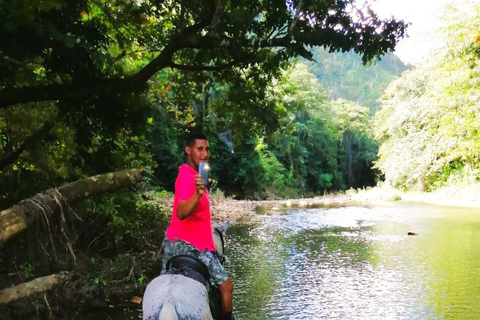 From Puerto Plata: Horseback ride along the mountain river