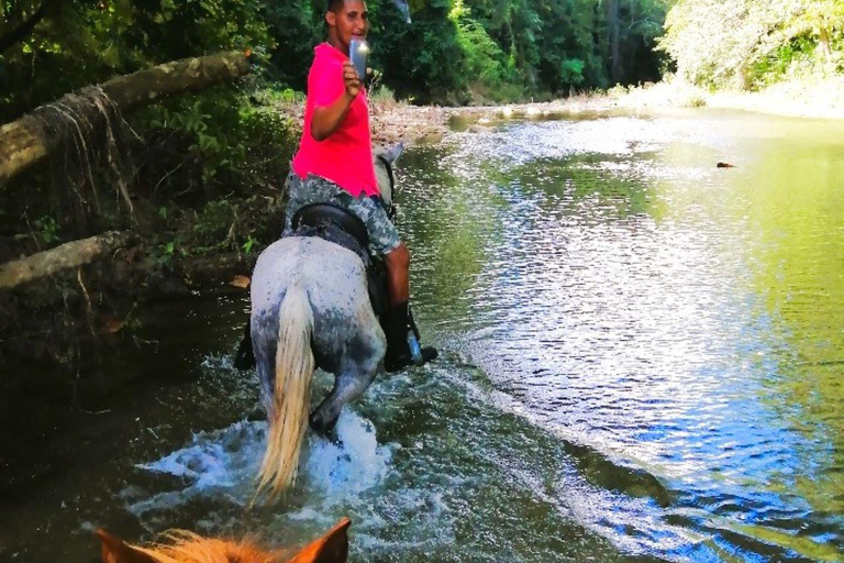 From Puerto Plata: Horseback ride along the mountain river